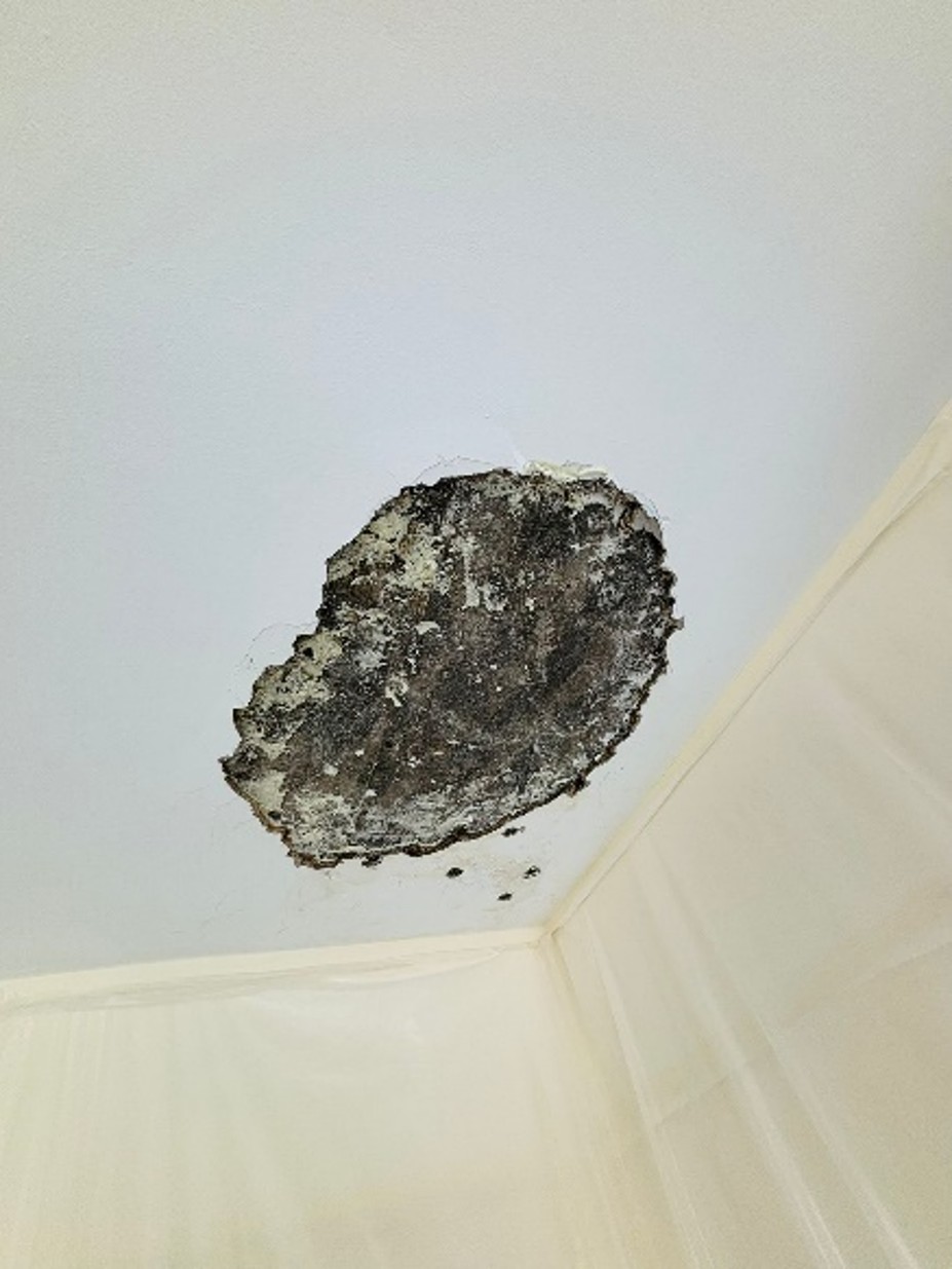 Spalling Concrete in Singapore – Causes, Risks, Water Ingress and What to Look For ceiling 6